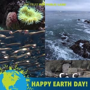 Meet your Posher, Helen